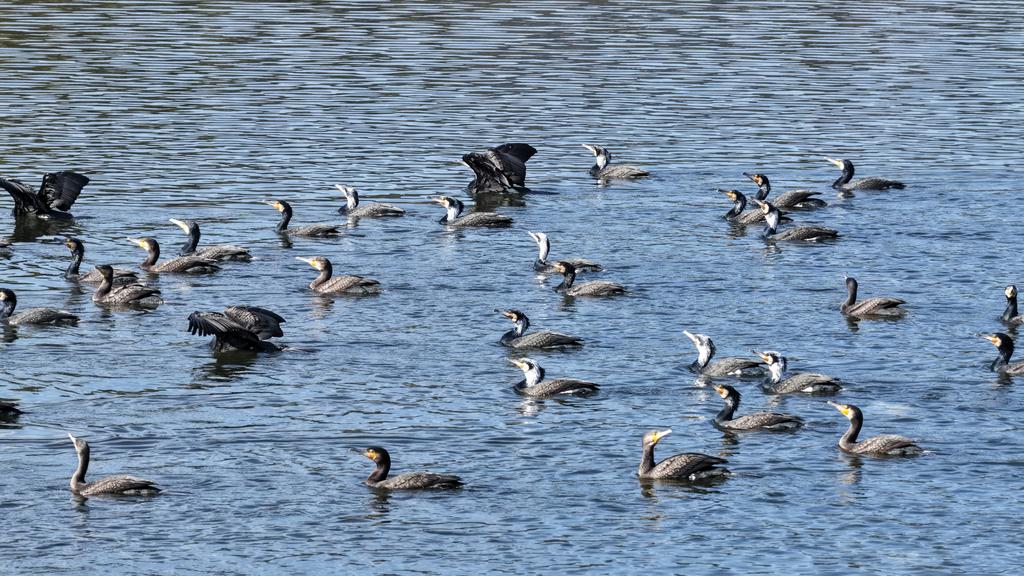 DJI_20260311162107_0068_D