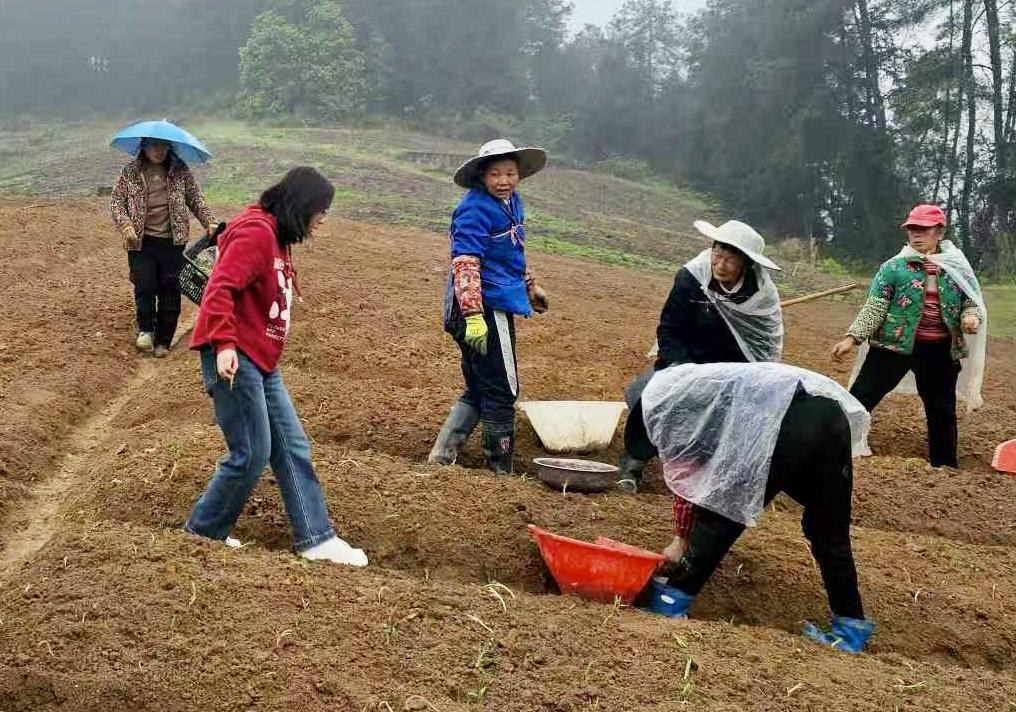 无效路径