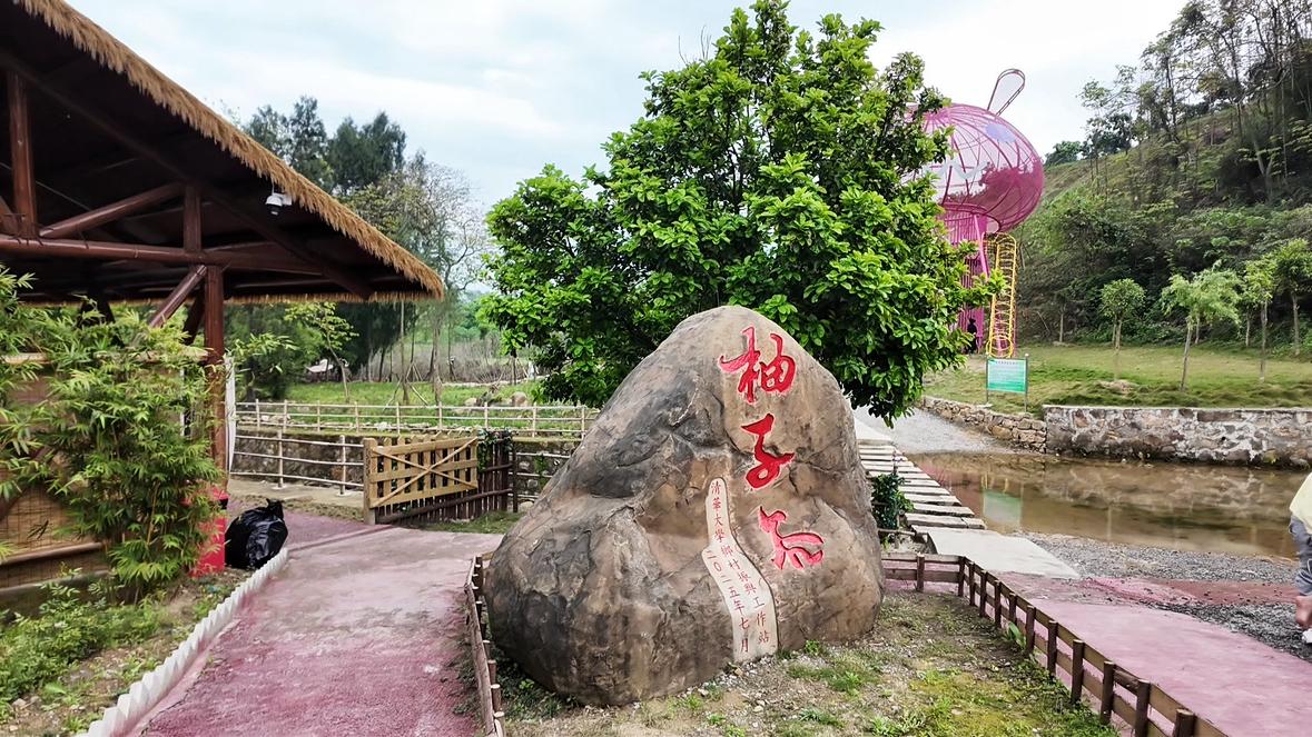 无效路径