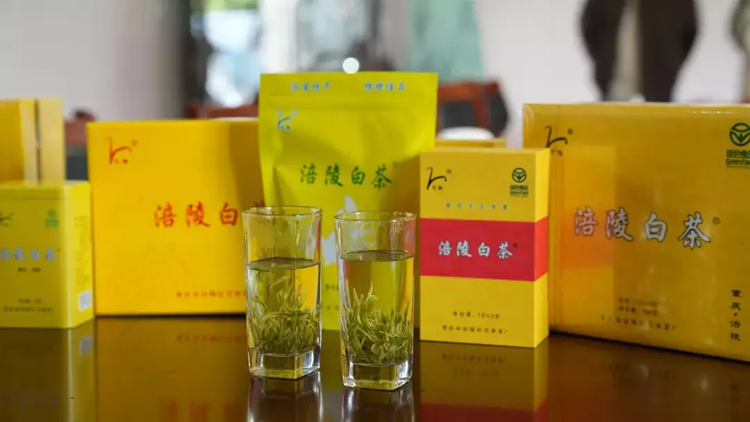 涪陵白茶.png